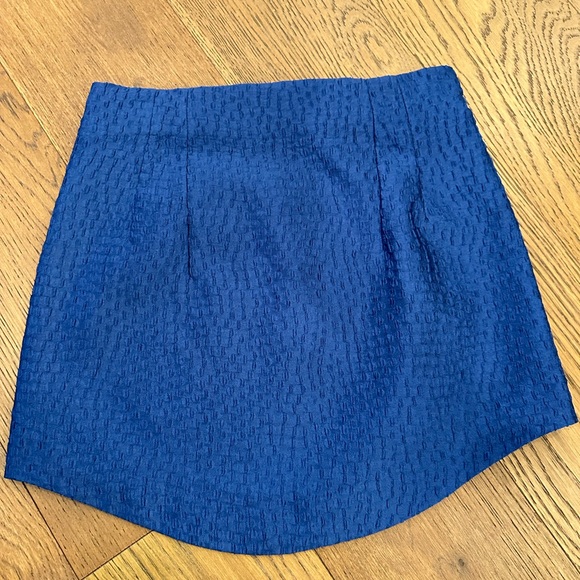 Zara Skirt - Picture 3 of 11